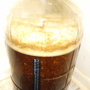 VanillaCreamBrownAle