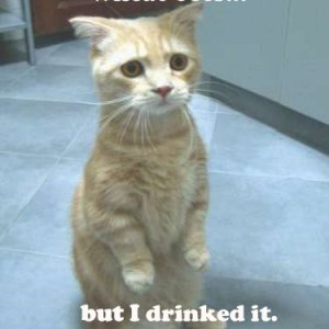sourpuss