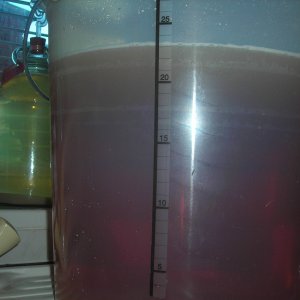 DSCN0576