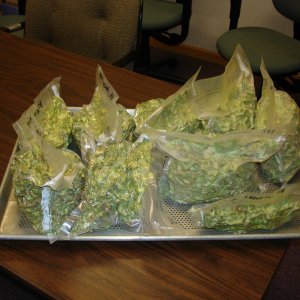 Cascade08allpackaged