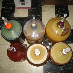 6carboysbubblingawayananomoly