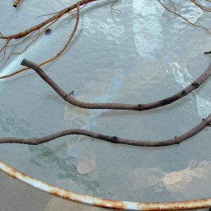 DSCF1120