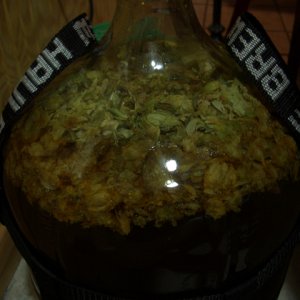 dryhop2