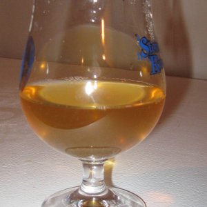 GermanPilsnerhydrometersample