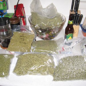 Grainbuy