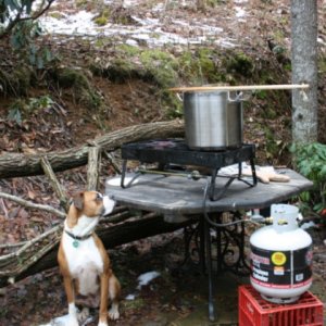 brewday_0081