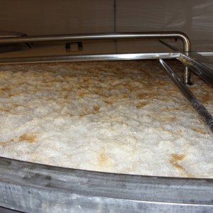 OpenFermentation