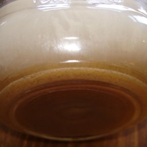 Iowa_Yeast_Capture_-_50327