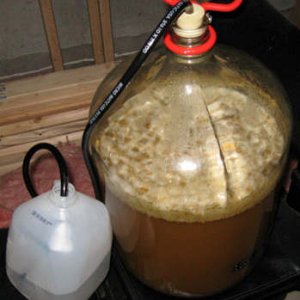 HefeweizenFermentation