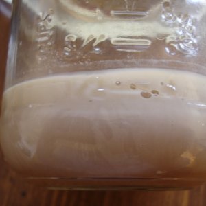 Iowa_Yeast_Capture_-_50327_006