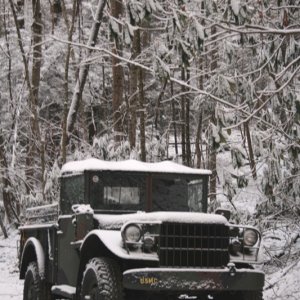 snowy_m37_small