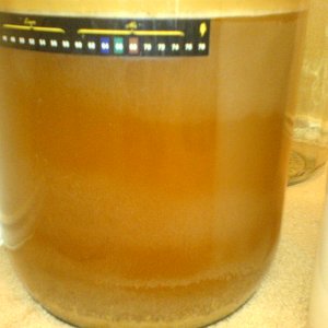 Layeredsuspension