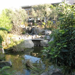 stonebrewingcogarden