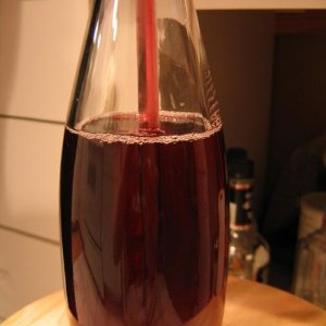 BottlingandTastingBlueberryApfelwein