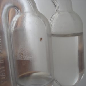 Bug_In_Airlock