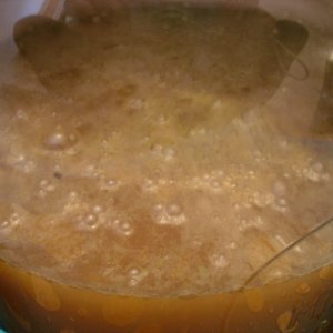 WildWheat2