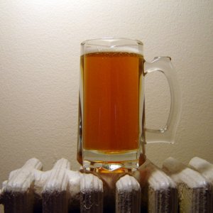 SunshiiineBelgian4