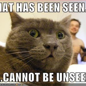 Whathasbeenseen