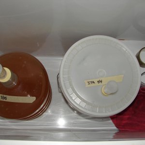 14_In_the_Cooler