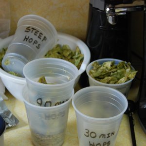 HopsattheReady