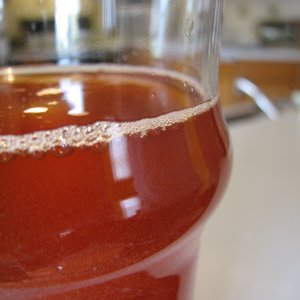 beer_0031