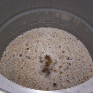 BadBrewDay