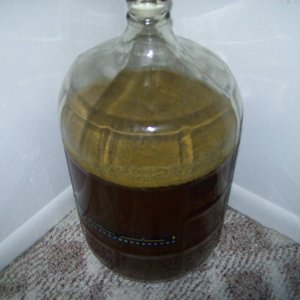 Doubledry-hoppedIPA