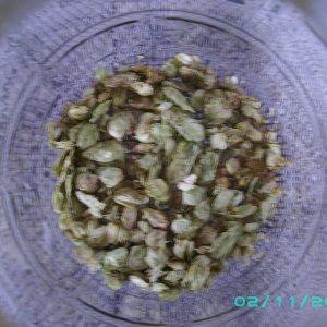 4202009_001