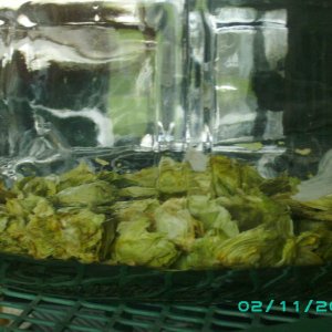 4202009_002