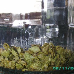 4202009_003