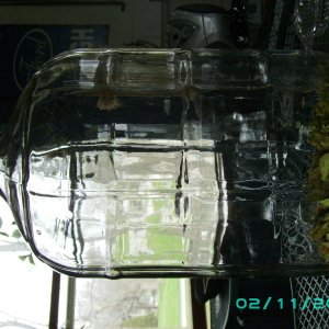 4202009_004