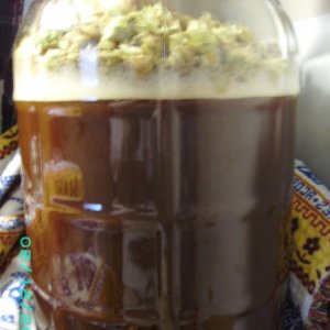 4202009_011