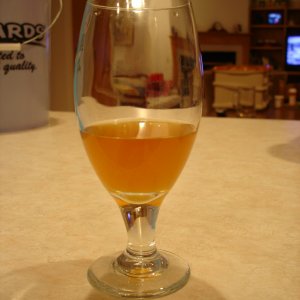 Wild_Wheat_0031