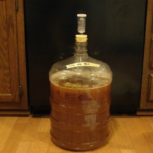 DryhoppedIPA