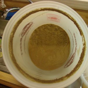 FermenterTrub