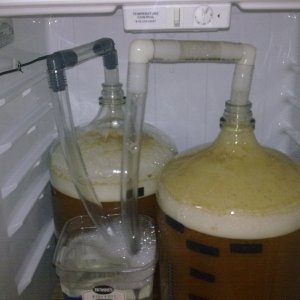 FridgeandCarboys