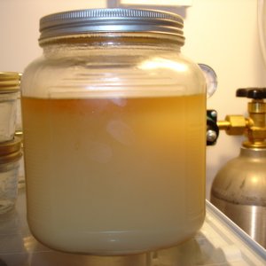 Wild_Wheat_0021