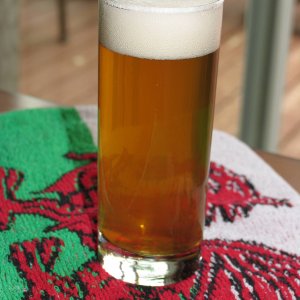 Kolsch1