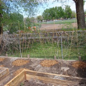 HopGarden09