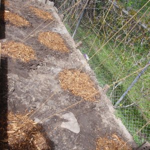 HopGarden09