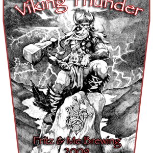 vikingthunder2009