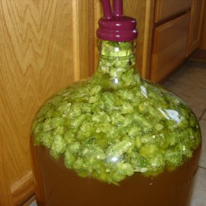 MillerLight-TripleHopped