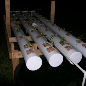 Aquaponicsystem