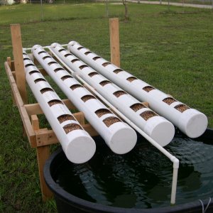 Aquaponicsystem