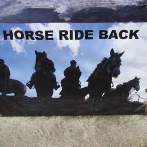 HorseRideBack