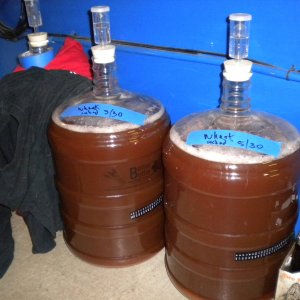 ferment