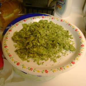Brewing