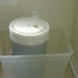 Brewing