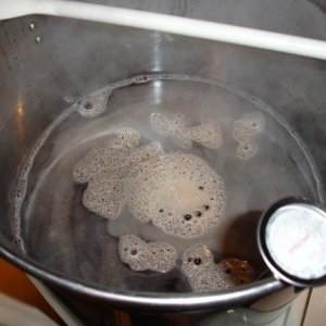 Brew91