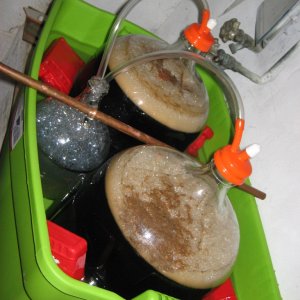 Dry_Stout